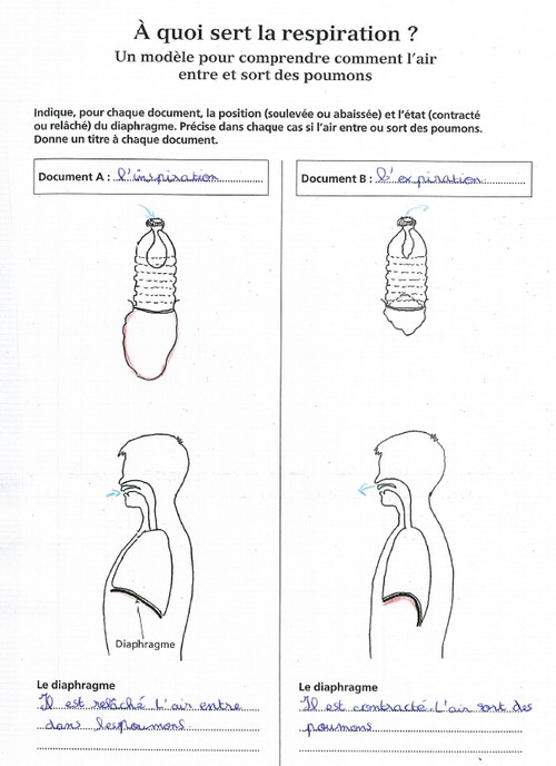 Evaluation cm2 la respiration