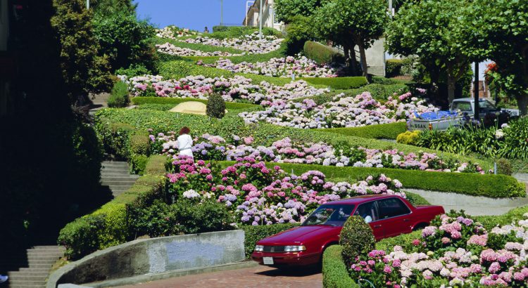 Comment aménager un jardin en pente douce
