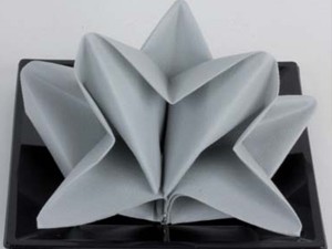 Tuto pliage serviette bapteme garçon