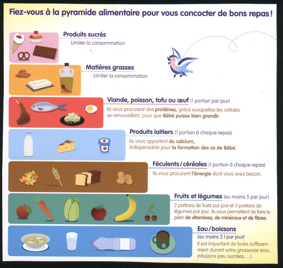 Classification des aliments ce2